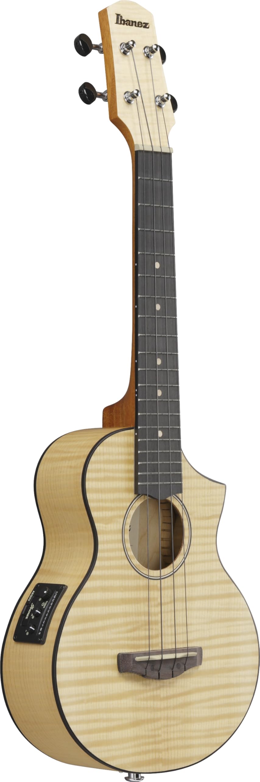 Amazon.co.jp: Ibanez/アイバニーズ コンサート・スタイル